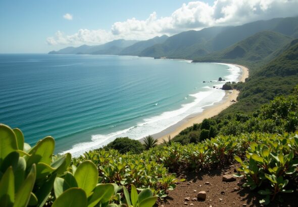 Optez pour une agence de voyages sur mesure au Costa Rica pour une expérience unique et inoubliable