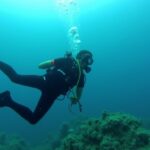 Top des destinations incontournables pour passionnés de plongée sous-marine