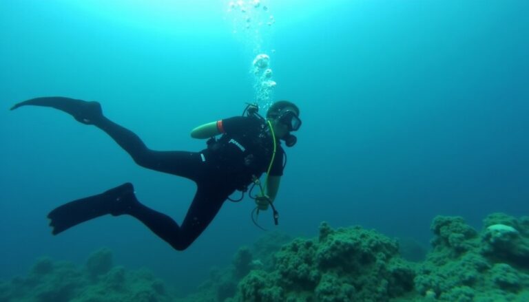 Top des destinations incontournables pour passionnés de plongée sous-marine