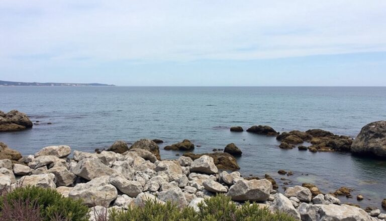 Porquerolles en hiver : découvrez l’île paradisiaque loin de la foule