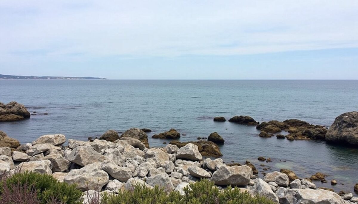 Porquerolles en hiver : découvrez l’île paradisiaque loin de la foule